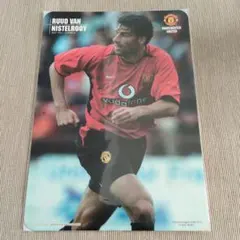 2026年最新】ニステルローイの人気アイテム - メルカリ