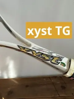 2026年最新】xyst tgの人気アイテム - メルカリ