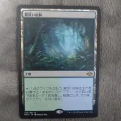 2026年最新】霧深い雨林の人気アイテム - メルカリ