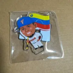 2026年最新】アクーニャjrの人気アイテム - メルカリ