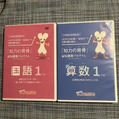 2026年最新】知力の背骨の人気アイテム - メルカリ