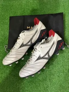 2026年最新】モレリアネオ2 mixの人気アイテム - メルカリ