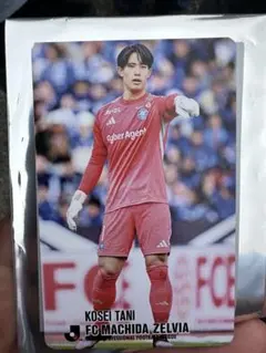 2026年最新】jリーグチップスの人気アイテム - メルカリ