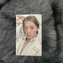 2026年最新】ディノ トレカ waitの人気アイテム - メルカリ