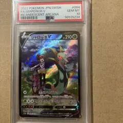 2026年最新】ジャローダv csr psa10の人気アイテム - メルカリ