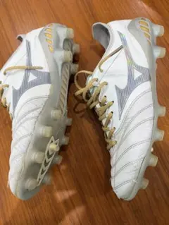 2026年最新】モレリアネオ3 シャイニングの人気アイテム - メルカリ