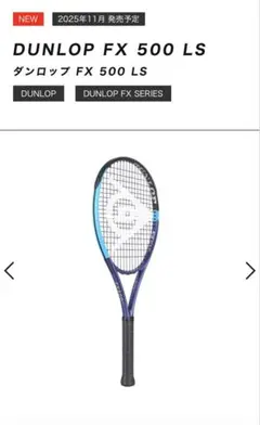 2026年最新】fx500 ダンロップの人気アイテム - メルカリ