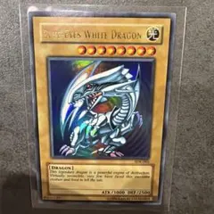 2026年最新】ブルーアイズ sdk-001の人気アイテム - メルカリ