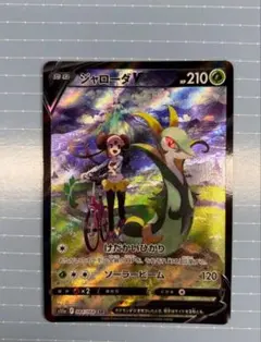 2026年最新】ジャローダV CSRの人気アイテム - メルカリ