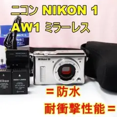 2026年最新】nikon1 aw1の人気アイテム - メルカリ