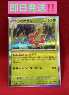 2026年最新】メガメガニウムの人気アイテム - メルカリ