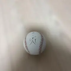 2026年最新】山田哲人サインボールの人気アイテム - メルカリ