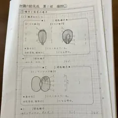 2026年最新】知識の総完成 サピックスの人気アイテム - メルカリ