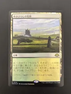 2026年最新】吹きさらしの荒野 FOILの人気アイテム - メルカリ