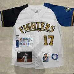 2026年最新】hokkaido 20th メモリアルユニフォームの人気アイテム