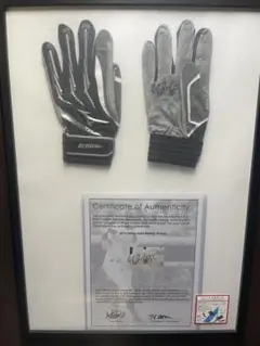 2026年最新】イチローサイングローブの人気アイテム - メルカリ