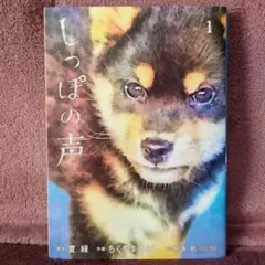 2026年最新】杉本彩の人気アイテム - メルカリ