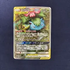 2026年最新】フシギバナ&ツタージャgx srの人気アイテム - メルカリ