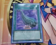 2026年最新】ハーピィの羽根帚 25thの人気アイテム - メルカリ