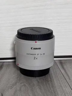 2026年最新】Canon エクステンダー EF2X IIIの人気アイテム - メルカリ