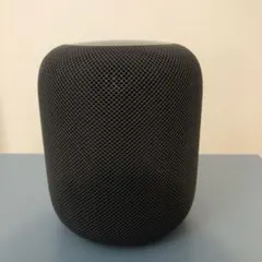 2026年最新】HOMEPOD 第1世代の人気アイテム - メルカリ