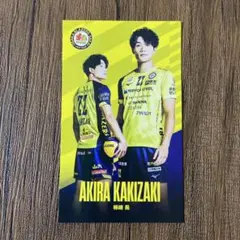 2026年最新】堺ブレイザーズグッズの人気アイテム - メルカリ