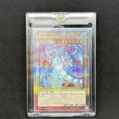 2026年最新】青眼の白龍 25th 絵違いの人気アイテム - メルカリ