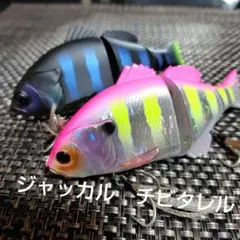 2026年最新】チビタレルの人気アイテム - メルカリ