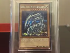 2026年最新】青眼の白龍 レリーフ ars10の人気アイテム - メルカリ