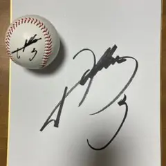 2026年最新】山川穂高 直筆サインの人気アイテム - メルカリ