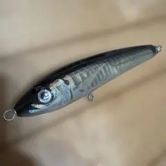 2026年最新】カーペンターブルーフィッシュ100の人気アイテム - メルカリ