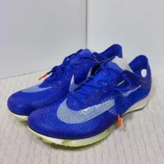 2026年最新】エアズームビクトリーの人気アイテム - メルカリ