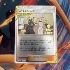 2026年最新】シロナ カトレアの人気アイテム - メルカリ