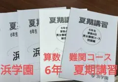 2026年最新】浜学園 最難関の人気アイテム - メルカリ