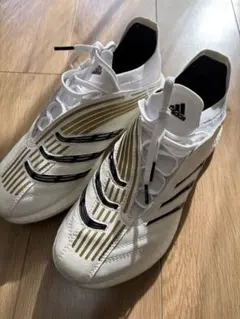 2026年最新】アブソリュート プレデターの人気アイテム - メルカリ