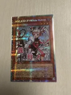 2026年最新】マリスポーンホワイトラビットの人気アイテム - メルカリ