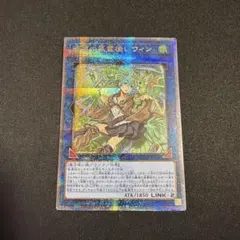 2026年最新】蒼翠の風霊使いウィン 25thの人気アイテム - メルカリ