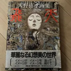 2026年最新】天野喜孝 画集の人気アイテム - メルカリ