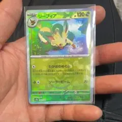 2026年最新】テラスタルフェス マスターボール リーフィアの人気