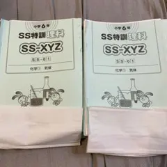 2026年最新】SS特訓 理科の人気アイテム - メルカリ