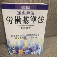 2026年最新】逐条解説の人気アイテム - メルカリ