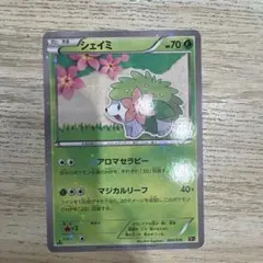 2026年最新】シェイミ cp5の人気アイテム - メルカリ