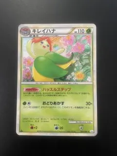 2026年最新】キレイハナの人気アイテム - メルカリ