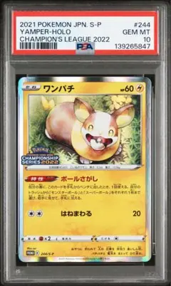 2026年最新】ワンパチ プロモの人気アイテム - メルカリ