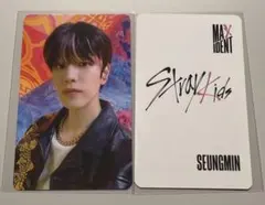 2025年最新】maxident チャンビンの人気アイテム - メルカリ