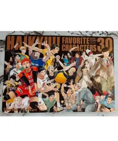 2026年最新】SPORTIVA ハイキュー ビジュアルボードの人気アイテム