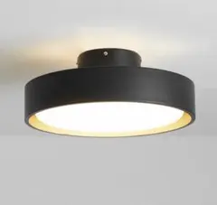 2026年最新】LOWYA シーリングライト・天井照明の人気アイテム - メルカリ