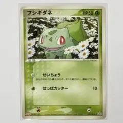 2026年最新】ポケモンカード フシギダネ 051/ADV-P 明治 meijiの人気