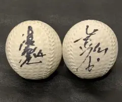 2026年最新】津田恒実 サインの人気アイテム - メルカリ