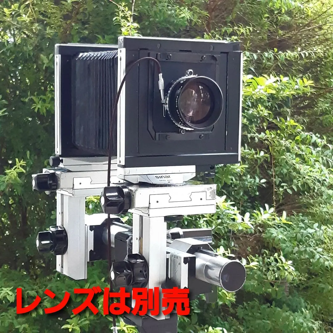 2026年最新】ジナー Pの人気アイテム - メルカリ